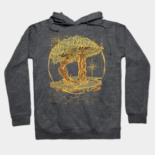 Trees of Life (Color and Light) Hoodie